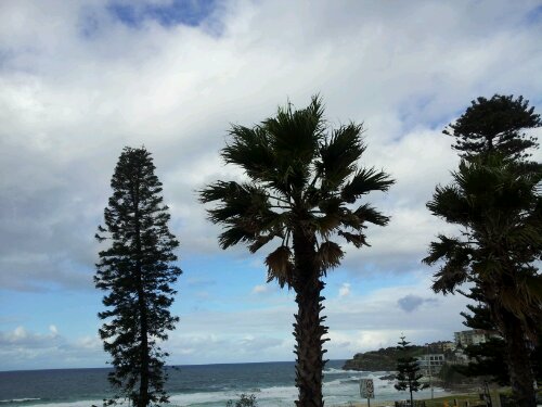 20120612_102648.jpg image