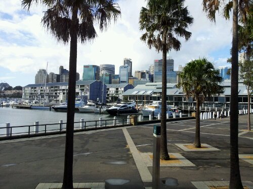 20120612_112812.jpg image