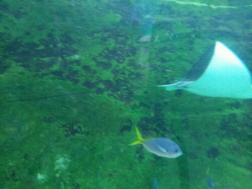 20120612_123519.jpg image