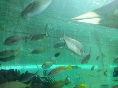 20120612_123955.jpg image