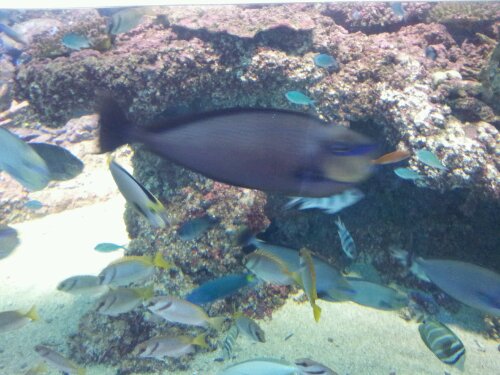 20120612_124808.jpg image