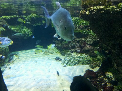 20120612_124940.jpg image