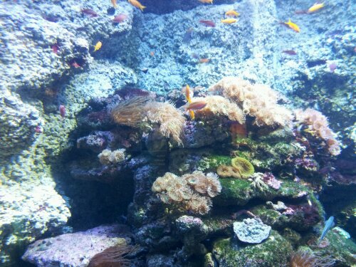 20120612_125051.jpg image