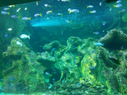 20120612_125443.jpg image