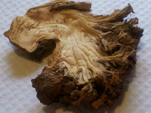 20121001_100726.jpg image