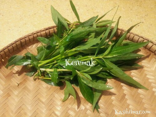 1362227856956.jpg image