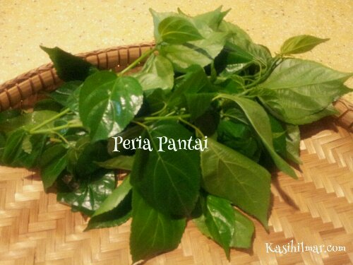 1362227967978.jpg image