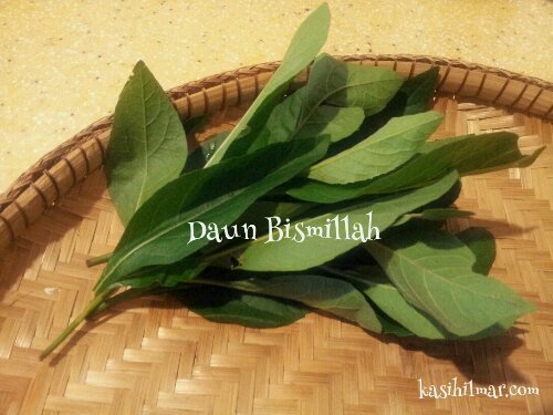 1362228068152.jpg image