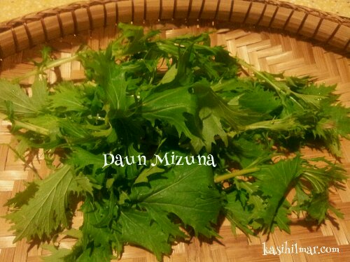 1362233876113.jpg image