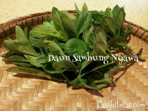 wpid-1362804763400.jpeg image