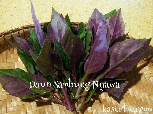 wpid-1362804851290.jpeg image