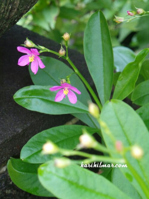 1378968827377.jpg image