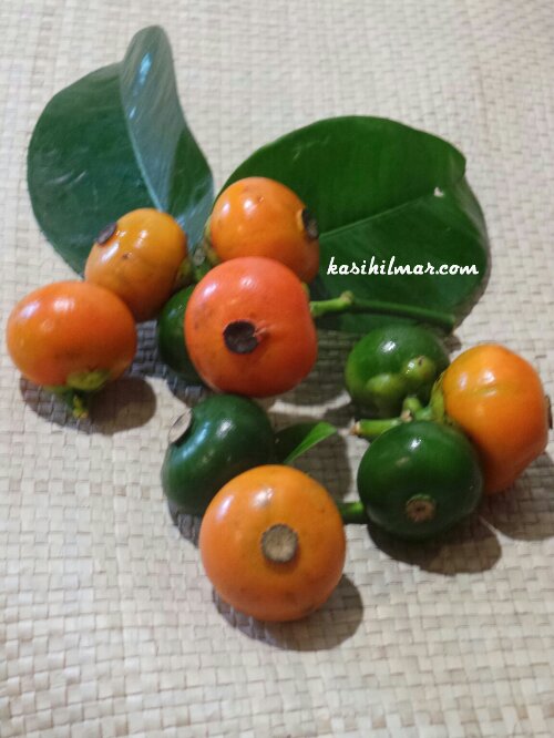 1379751818800.jpg image