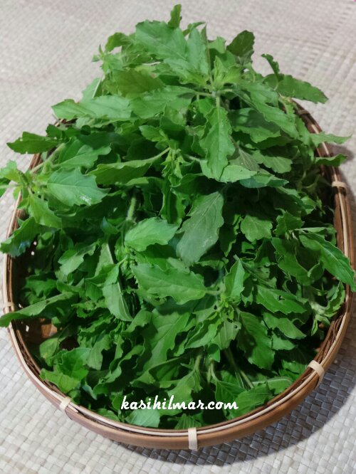 1379823127467.jpg image