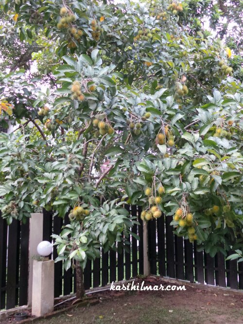 1384742673860.jpg image