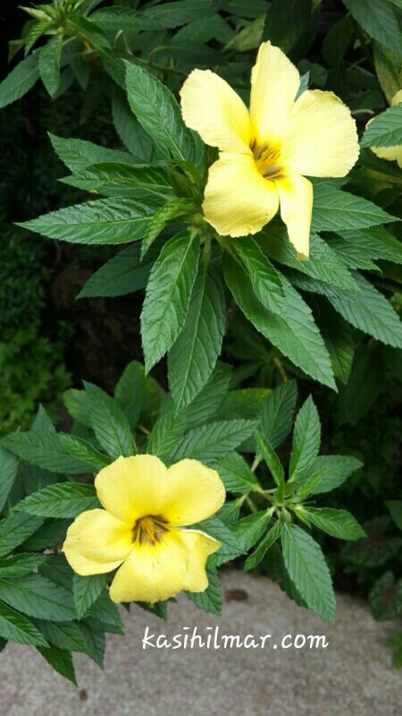 1390264087832.jpg image